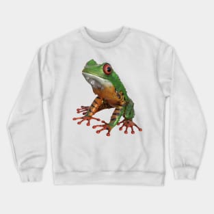 Frog/Red-Eyed Amazon Tree Frog Crewneck Sweatshirt